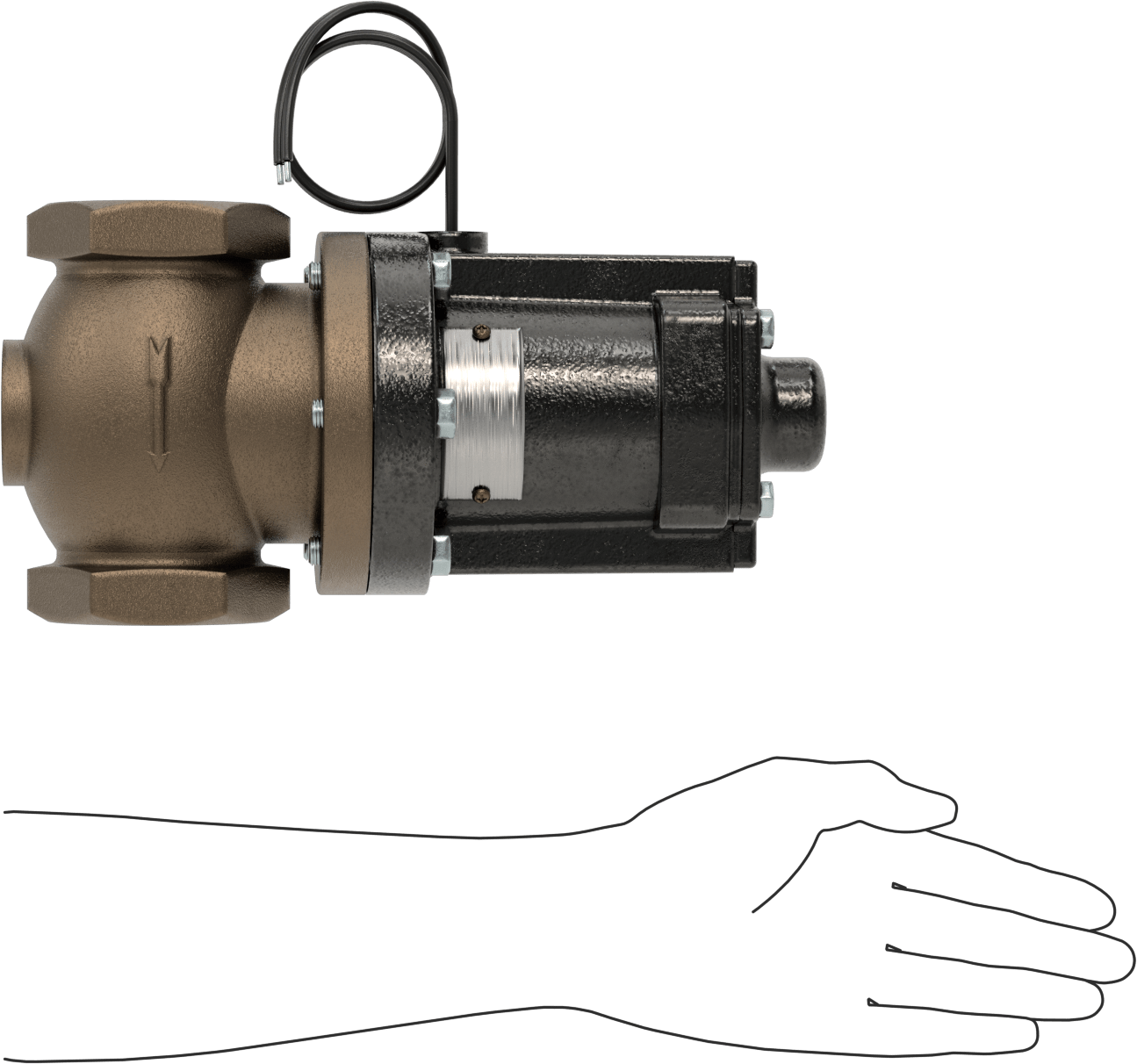 Buhar için Bronz Gövdeli Solenoid Açma/Kapama Vanası, Cam Dolgulu PTFE Conta, 2 NPT Dişi, 180 Maksimum PSI