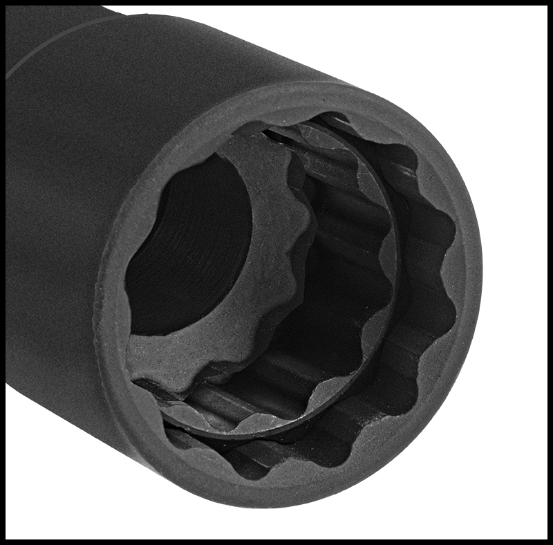 Dual-Size View