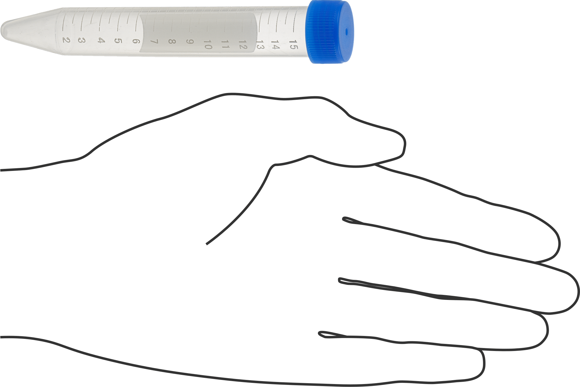 Polypropylene Centrifuge Tubes, 15 ml/0.5 oz.. Capacity, Blue Lid