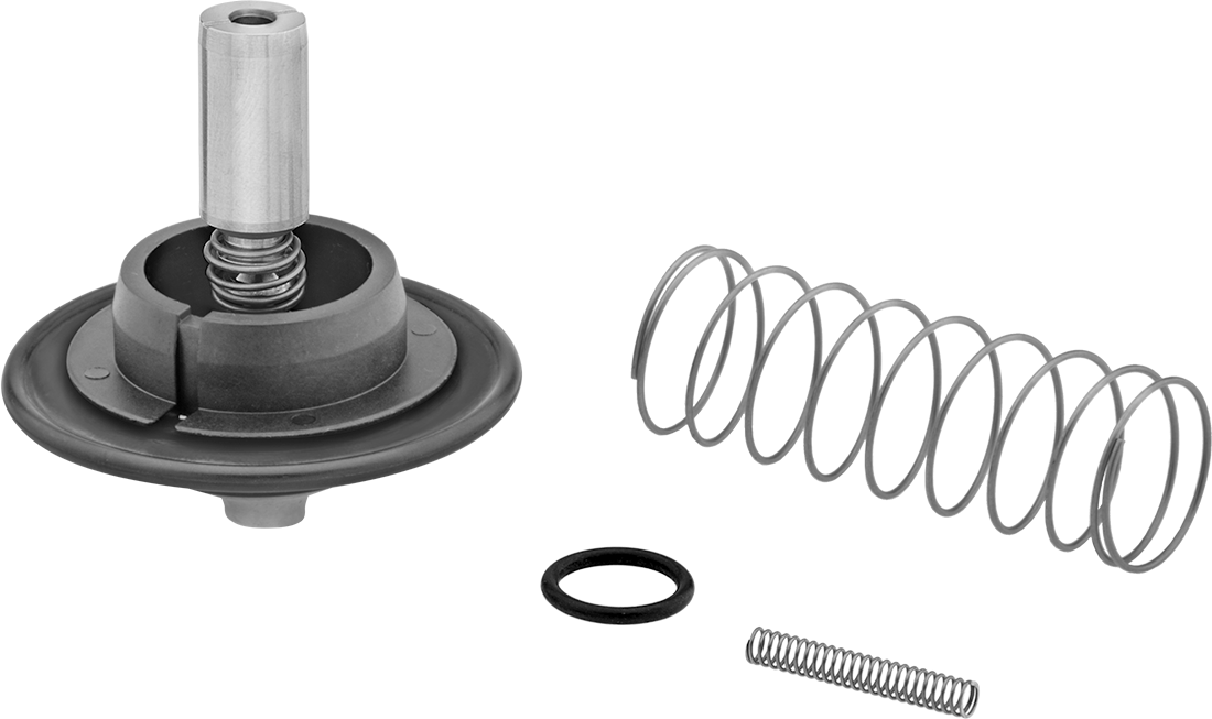 Burkert Repair Kit for Flow-Control Valves, Model Number 126449 for 3/4 Pipe Size