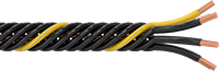 8082K79