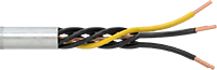 8082K81