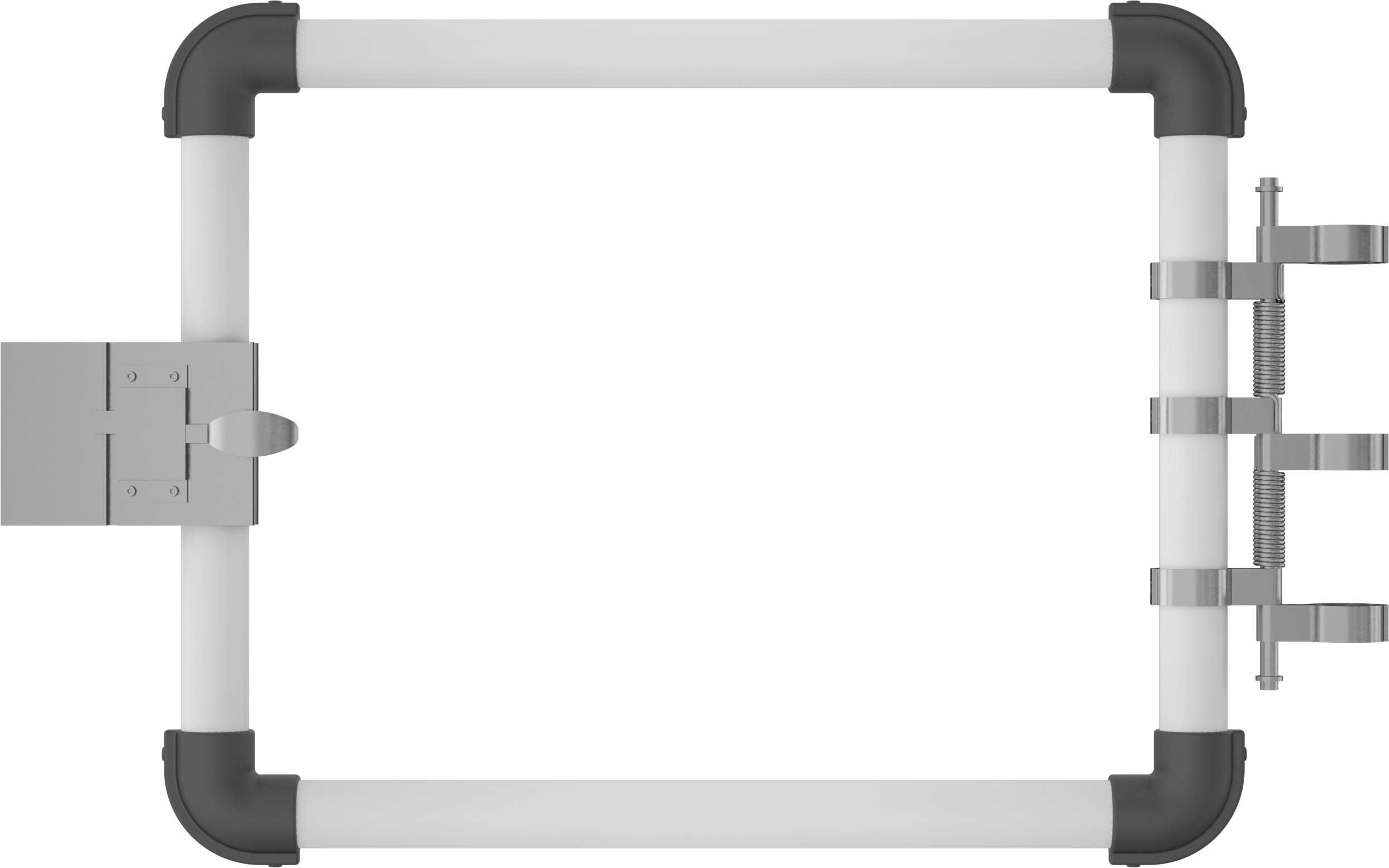 Back
