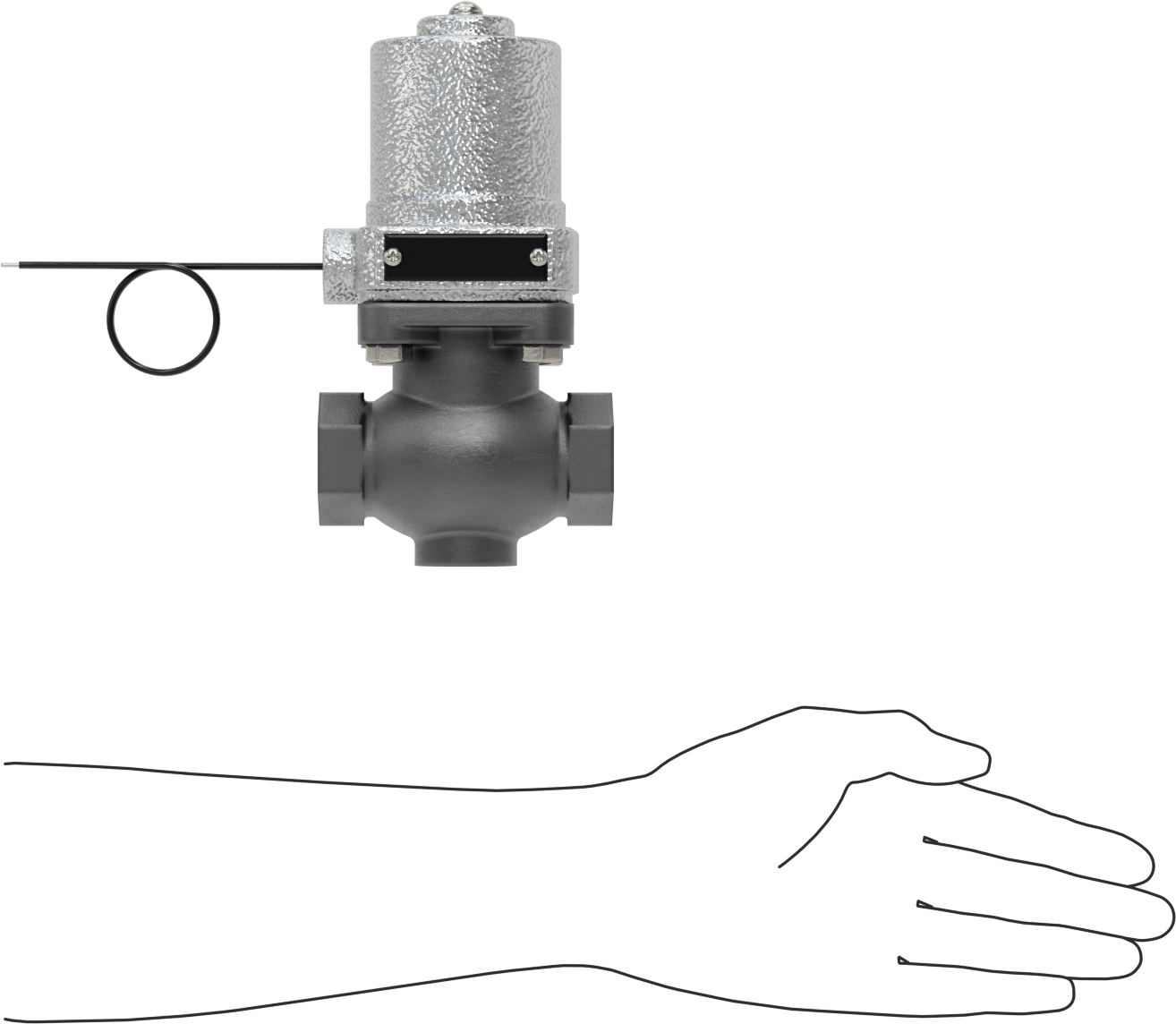 Soğutucu ve Deterjan için Solenoid Açma/Kapama Valfi, 304 Paslanmaz Çelik Gövde, Cam Dolgulu Conta, 1 NPT Dişi, 110 PSI
