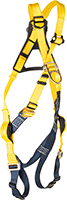 8169T234