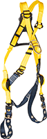 8169T246