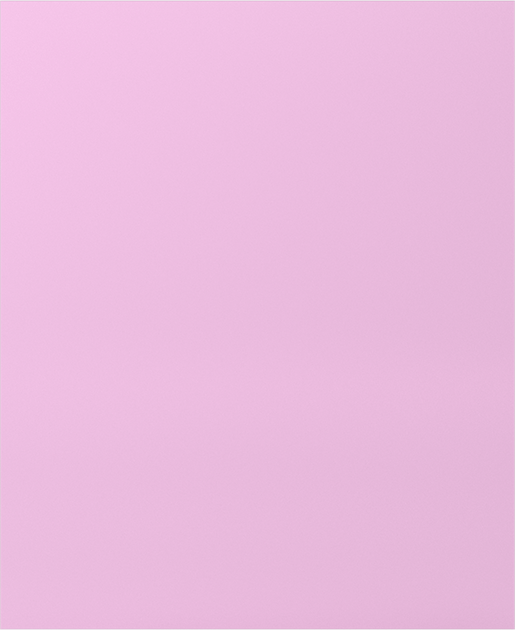 8258A13