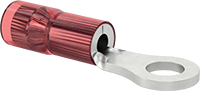 8429T31