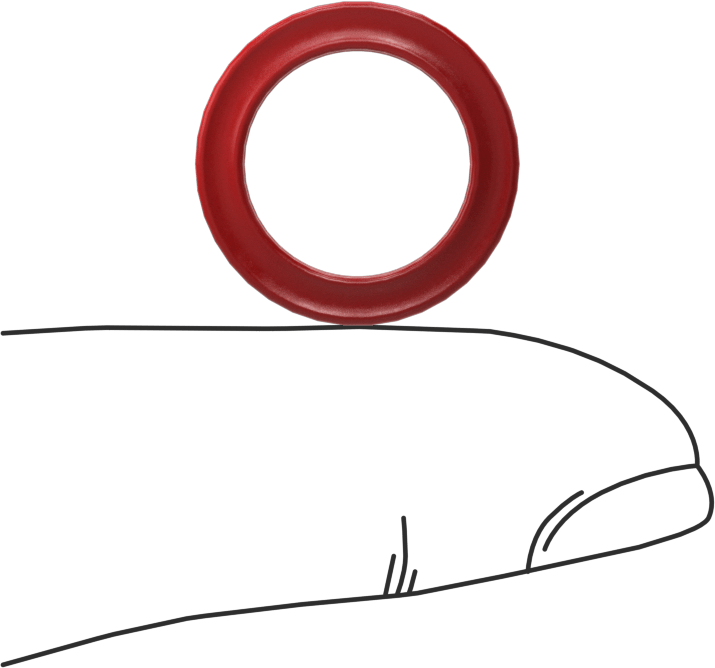 X-Profil Yüksek Sıcaklık Silikon O-Ring, 3/32 Kesirli Genişlik, Dash No. 112