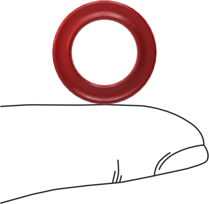X-Profil Yüksek Sıcaklık Silikon O-Ring, 1/8 Kesirli Genişlik, Dash No. 206