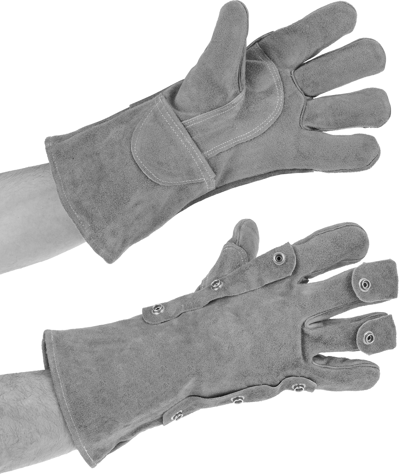 8538N15