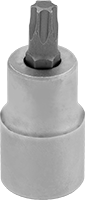 Torx-Plus Uçlu Soketler
