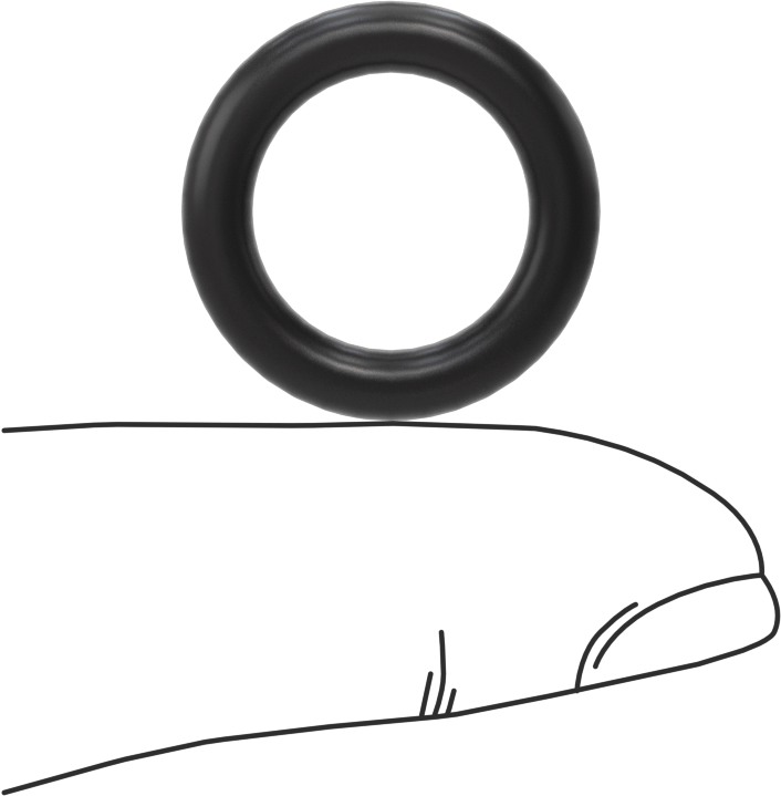 Ultra Kimyasal Dirençli Ffkm 4079 O-Ring, 1/8 Kesirli Genişlik, Dash No. 207