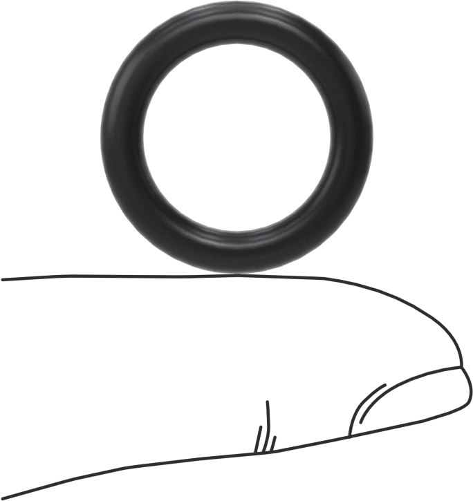 Ultra Kimyasal Dirençli Ffkm 4079 O-Ring, 1/8 Kesirli Genişlik, Dash Numara 208