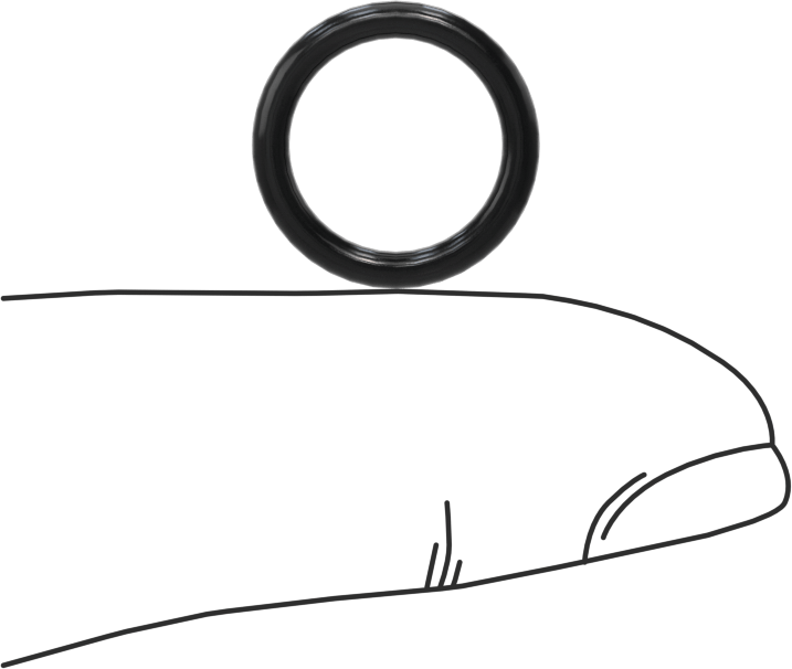 Ultra Kimyasal Dirençli Ffkm 4079 O-Ring, Düz Dişli Bağlantılar için, Dash Numara 905