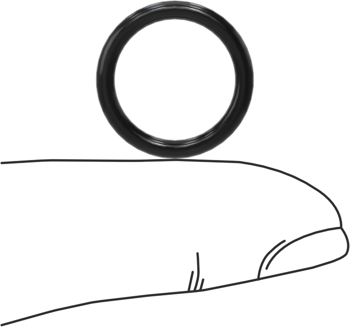 Ultra Kimyasal Dirençli Ffkm 4079 O-Ring, Düz Dişli Bağlantılar için, Dash Numarası 907