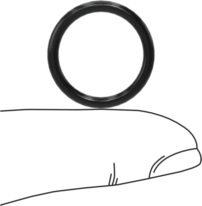 Ultra Kimyasal Dirençli Ffkm 4079 O-Ring, Düz Dişli Bağlantılar için, Dash Numarası 908
