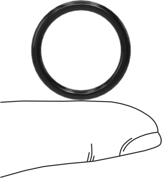 Ultra Kimyasal Dirençli Ffkm 4079 O-Ring, Düz Dişli Bağlantılar için, Dash Numarası 910
