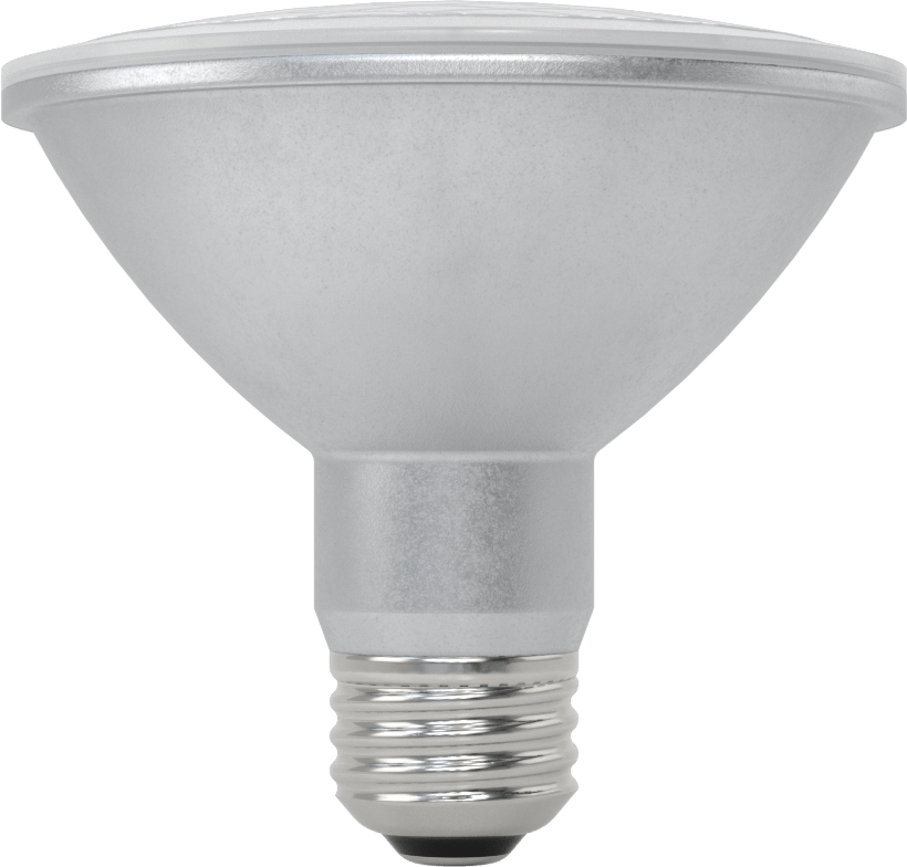 Ampul, PAR30, Projektör, 75W, 5000K, LED, 3-1/2" Uzunluk