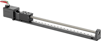 8739N18