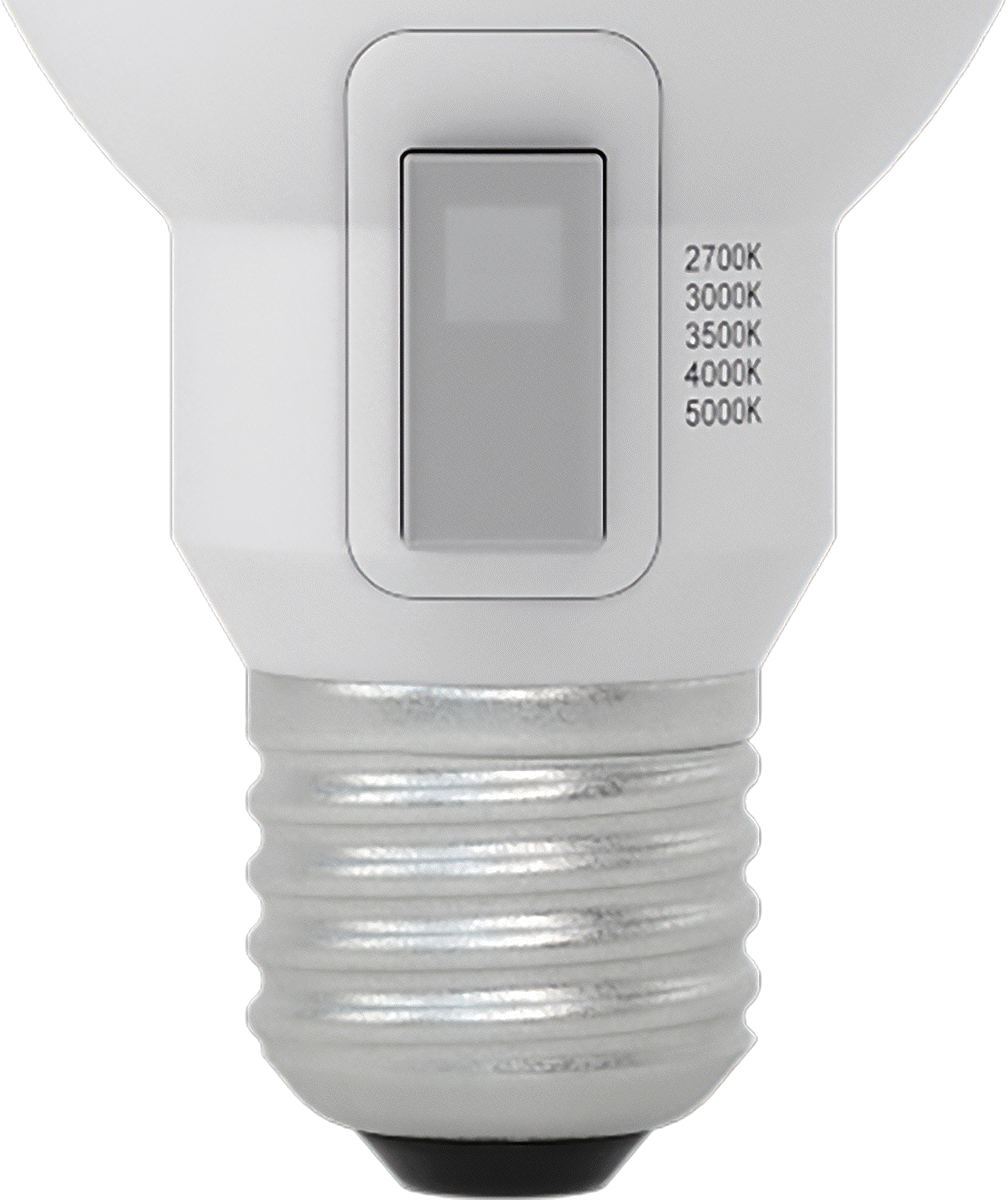 Hareket Algılayıcı Vidalı Tabanlı LED Ampul, PAR38, 100 W Eşdeğer Akkor, 1050 Lumens