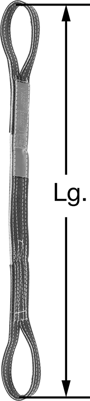 8964T161