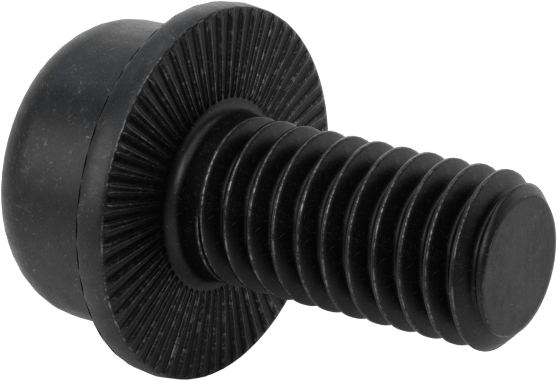 Tırtıklı Flanşlı Soket Başlı Vida, M6 x 1 mm Diş, 12 mm Uzunluk