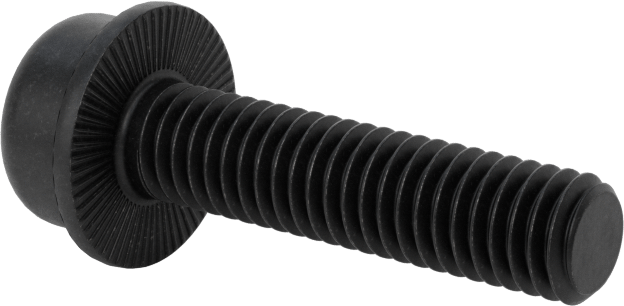 Tırtıklı Flanşlı Soket Başlı Vida, M6 x 1 mm Diş, 25 mm Uzunluk