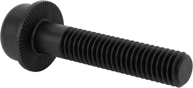 Tırtıklı Flanşlı Soket Başlı Vida, M6 x 1 mm Diş, 30 mm Uzunluk