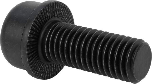 Tırtıklı Flanşlı Soket Başlı Vida, M10 x 1,5 mm Diş, 25 mm Uzunluk