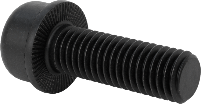 Tırtıklı Flanşlı Soket Başlı Vida, M10 x 1,5 mm Diş, 30 mm Uzunluk