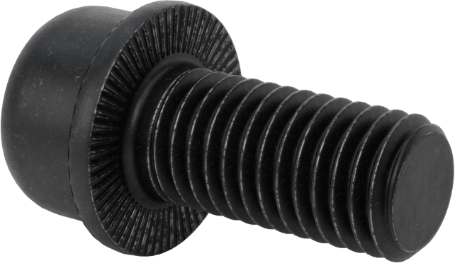 Tırtıklı Flanşlı Soket Başlı Vida, M12 x 1,75 mm Diş, 25 mm Uzunluk