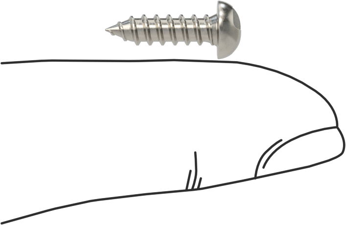 18-8 Paslanmaz Çelik Sac Metal için Tek Yönlü Vidalar, Yuvarlak Başlı, Numara 6 Boyut, 1/2" Uzunluk