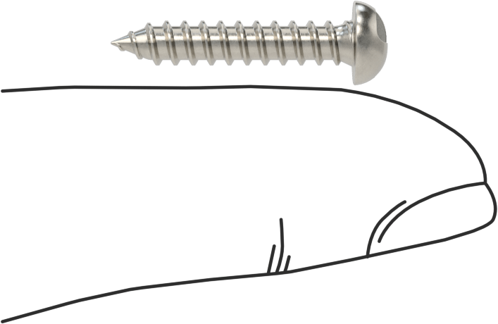 18-8 Paslanmaz Çelik Sac Metal için Tek Yönlü Vidalar, Yuvarlak Başlı, Numara 6 Boyut, 3/4" Uzunluk