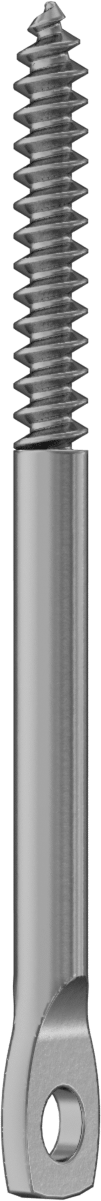 Ahşap Vidalı Askı, 1/4" Vida Boyutu, 4" Uzunluk