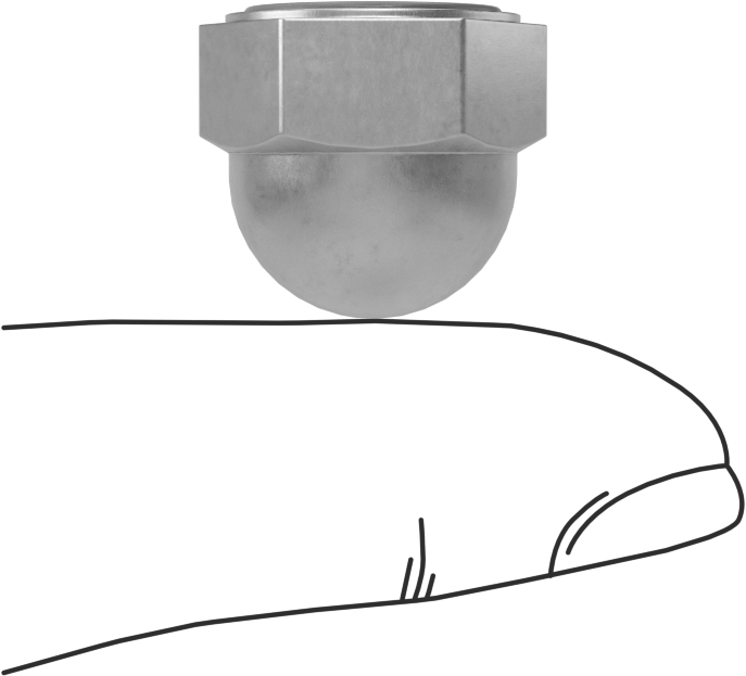 Sızdırmaz Kapak Somunu, 3/8"-16 Diş Boyutu