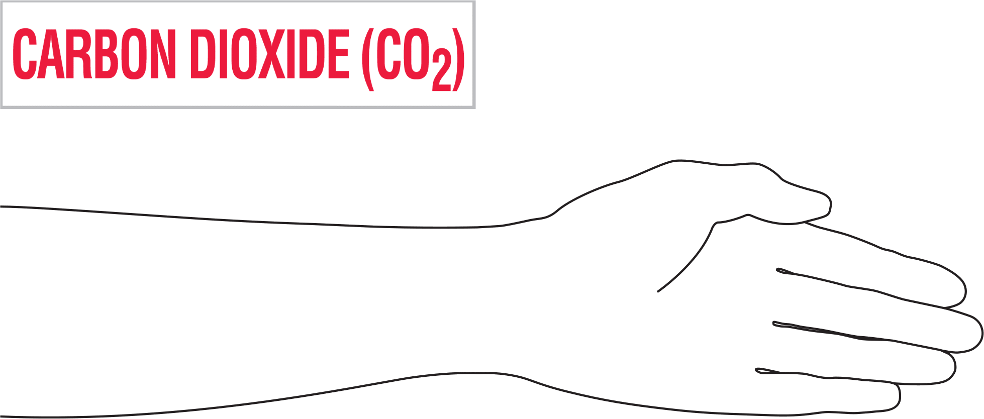 Sıvı ve Gaz Depolama Etiketi, Karbondioksit (CO2) Mesajlı, 2“ Yükseklik x 8” Genişlik