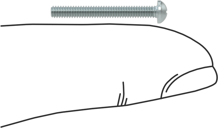 Çelik Dekoratif Yuvarlak Başlı Phillips Vidalar, 2-56 Diş Boyutu, 3/4" Uzunluk