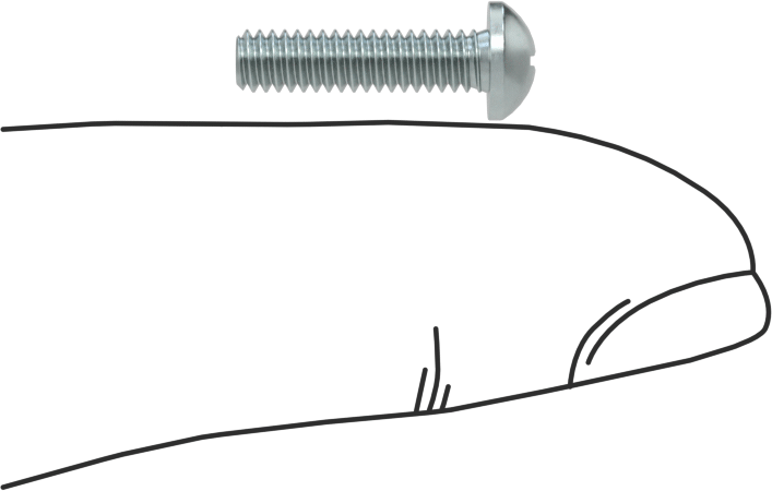 Çelik Dekoratif Yuvarlak Başlı Phillips Vidalar, 5-40 Diş Boyutu, 1/2" Uzunluk