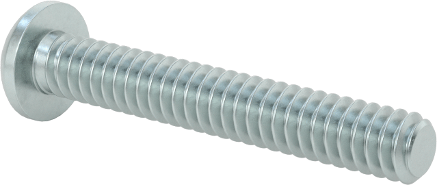 Çelik Dekoratif Yuvarlak Başlı Phillips Vidalar, 10-24 Diş Boyutu, 1-1/4" Uzunluk