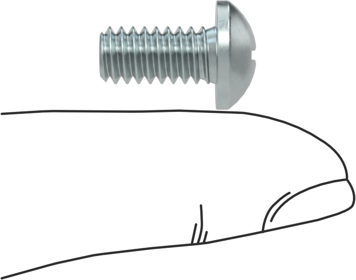 Çelik Dekoratif Yuvarlak Başlı Phillips Vidalar, 1/4"-20 Diş Boyutu, 1/2" Uzunluk