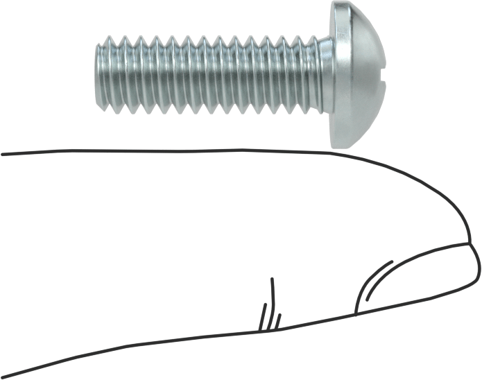 Çelik Dekoratif Yuvarlak Başlı Phillips Vidalar, 1/4"-20 Diş Boyutu, 3/4" Uzunluk
