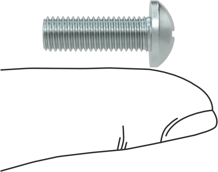Çelik Dekoratif Yuvarlak Başlı Phillips Vidalar, 1/4"-28 Diş, 3/4" Uzunluk