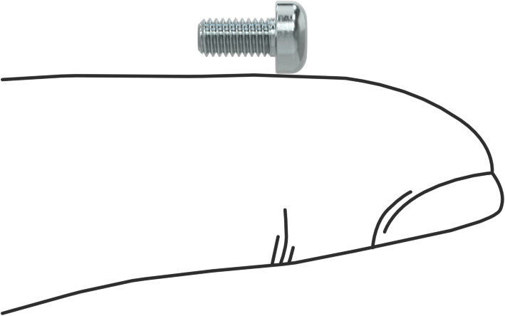 Çelik Silindir Başlı Torx Vidalar, Çinko Kaplama, M3 x 0,5 mm Dişli, 6 mm Uzunluk