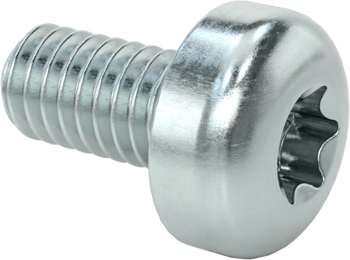 Çelik Silindir Başlı Torx Vidalar, Çinko Kaplama, M2,5 x 0,45 mm Diş, 5 mm Uzunluk