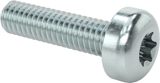 Çelik Silindir Başlı Torx Vidalar, Çinko Kaplama, M2,5 x 0,45 mm Diş, 10 mm Uzunluk