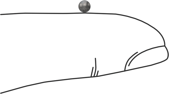 Kurşun Top, 6 Numaralı, 0,11" Çap, 25 lb. Torba