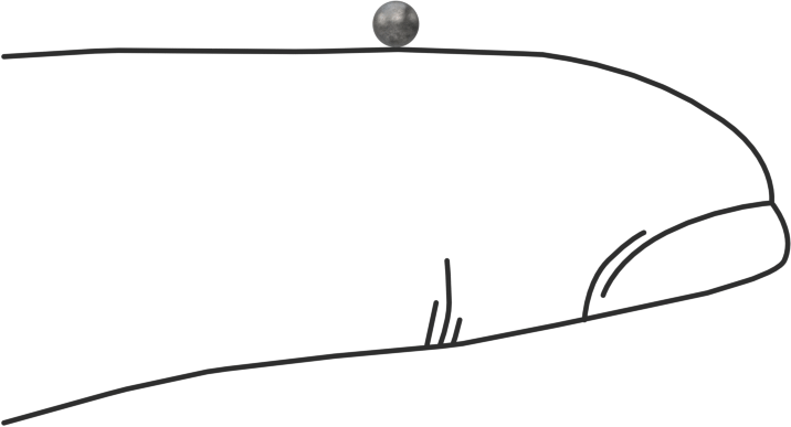 Kurşun Top, 8 Numaralı, 0,090" Çap, 25 lb. Torba