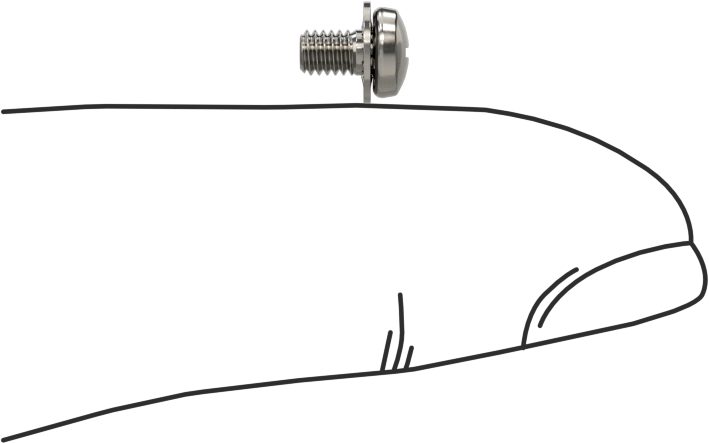 Paslanmaz Çelik Silindir Başlı Vidalar, İç Dişli Pullu, M2,5 x 0,45 mm Diş, 4 mm Uzunluk
