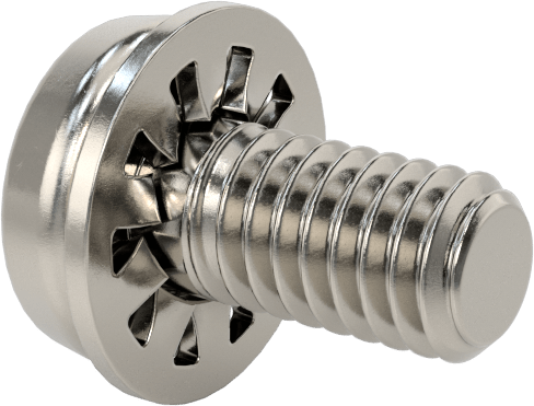 Paslanmaz Çelik Silindir Başlı Vidalar, İç Dişli Pullu, M2,5 x 0,45 mm Diş, 5 mm Uzunluk